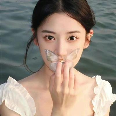 金车美人
